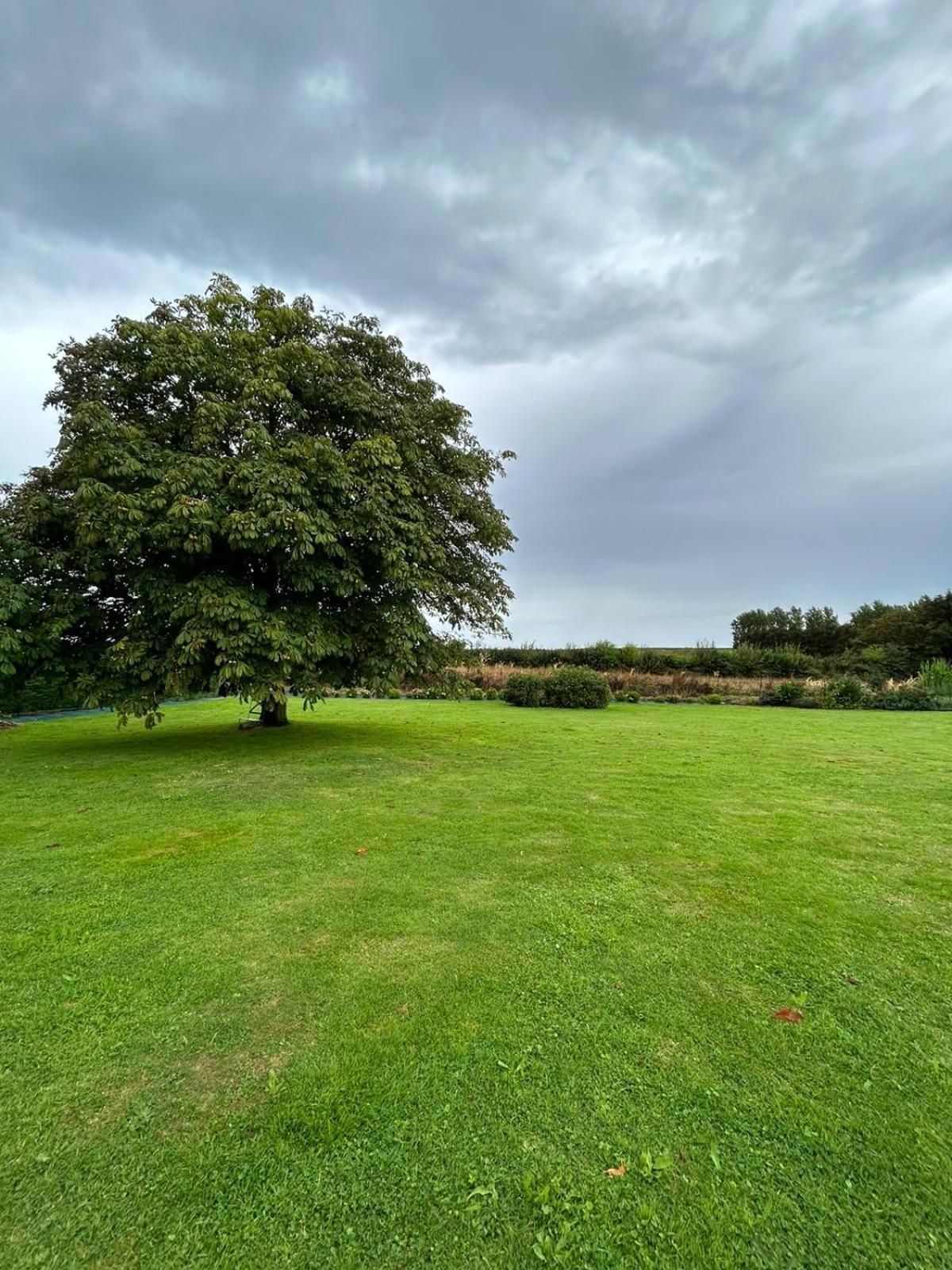 La Nora Jolie Villa Tocqueville-sur-Eu Dış mekan fotoğraf
